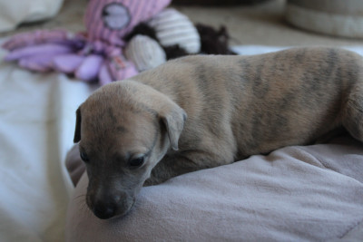 baby 3