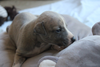 baby 6